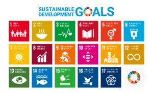 SUSTAINABLE DEVELOPMENT REPORT 2022 各国・地域ごとの達成状況
