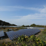 日本の再生可能エネルギー 2020年度版