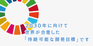 持続可能な開発のための 2030 アジェンダ 宣言