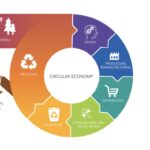 循環経済の視点からのアプローチ
