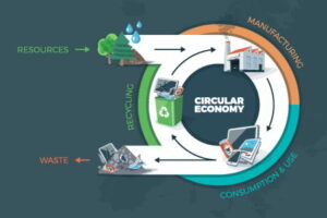 循環経済への移行