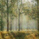 SDGs目標15「陸の豊かさを守ろう」～陸域生態系の深刻な衰退の事実～