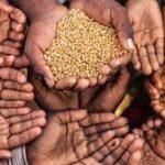 国際社会が食料危機の根本原因に対処するための防止、予見、注力を要請