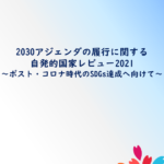 SDGsに関する自発的国家レビュー（VNR）の概要